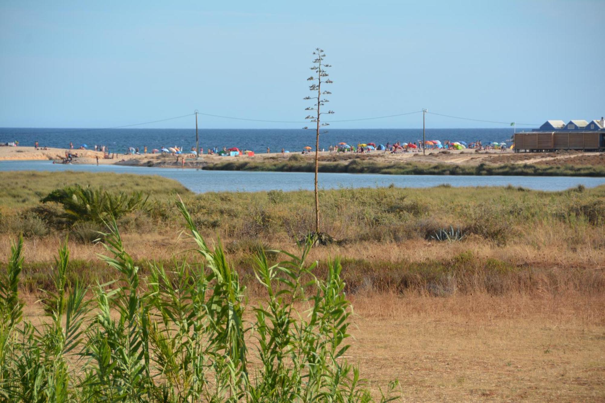 Praia Dria Armação de Pêra Eksteriør billede